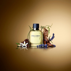 Dolce&amp;Gabbana  Pour Homme  Pour Homme