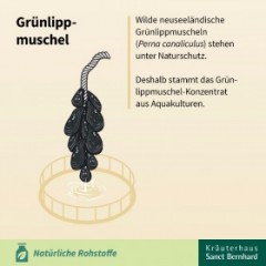 Krauterhaus Sanct Bernhardt Grünlippmuschel-Kapseln 300 Kapseln, 300 капсул