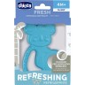 CHICCO Beissringe Fresh Power Koala Прорезыватели Fresh Power Koala