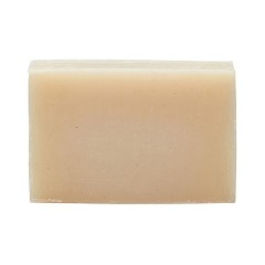 Gruum sapa Plastikfreie Korperseife Aloe Vera  sapa мыло для тела без пластика алоэ вера