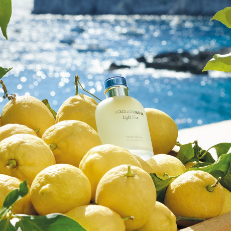 Dolce&Gabbana Light Blue Pour Homme Голубой Pour Homme