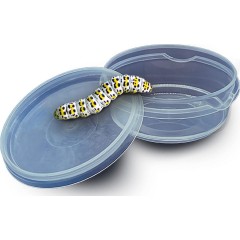 SES Creative Insektenforscher исследователь насекомых