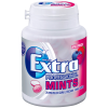 Wrigley&amp;#x27;s Extra Professional Mints Waldfrucht Жевательная резинка с мятой и лесными травами без сахара 70 шт.