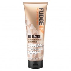 Fudge Colour Lock Shampoo  Шампунь для фиксации цвета