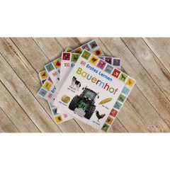 Dorling Kindersley Verlag Erstes Lernen. Farben первое обучение. Цвета