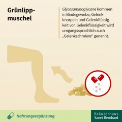 Krauterhaus Sanct Bernhardt Green-lipped Mussel Capsules Новозеландские зеленогубые мидии (ГАГ), 150 капсул