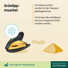 Krauterhaus Sanct Bernhardt Green-lipped Mussel Capsules Новозеландские зеленогубые мидии (ГАГ), 150 капсул