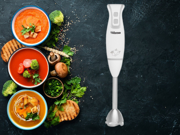Tristar Tristar Stabmixer Tristar MX-4825 Stabmixer 250 W Weiss, 250 W Погружной блендер Tristar Погружной блендер Tristar MX-4825 250 Вт белый, 250 Вт