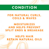 Cantu Shea Butter Hydrating Cream Conditioner Канту Бессульфатный увлажняющий кондиционер для волос с маслом Ши (Карите), 3 штуки х 400мл 