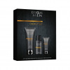 Douglas Collection Energy Set  Набор для мужчин для ухода за телом &quot;Энергия&quot;: Гель для душа 2-в-1 100мл + Гель для лица 25мл + Спрей-антиперспирант 50мл 