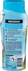 Balea (Балеа) Shampoo Feuchtigkeit Увлажняющий Шампунь для Волос с Ароматом Кокоса, 300 мл