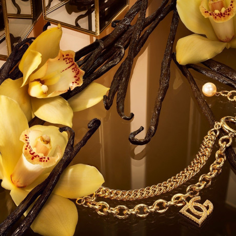 Dolce&Gabbana  The One  Тот самый