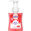 Sagrotan Samt Schaum Sanfte Schaumseife Kirschblute &amp; Rose Сагротан Нежное мыло-пенка для рук Цветы вишни и розы, 250 мл