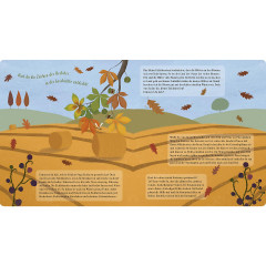 Carlsen Verlag Das Eichhornchen entdeckt den Herbst Белка открывает осень