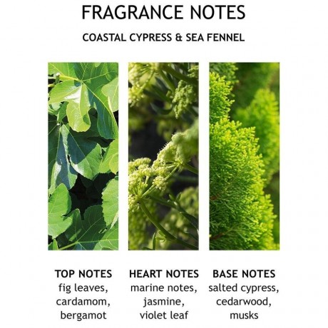 Molton Brown Coastal Cypress & Sea Fennel Bath Salts  Соль для ванн с прибрежным кипарисом и морским фенхелем