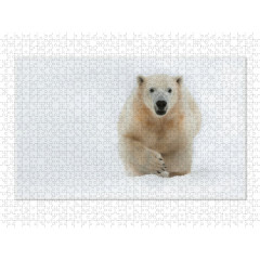 CALVENDO Puzzle CALVENDO Puzzle Emotionale Momente: Der Eisbar. \/ CH-Version Пазл CALVENDO Пазл Эмоциональные моменты: ледяной бар. \/ версия CH