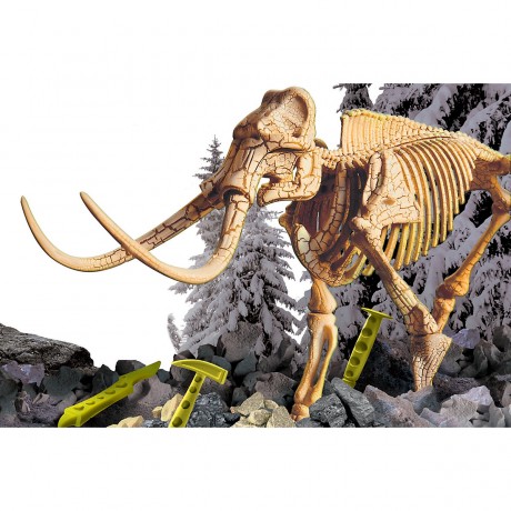 Lisciani Ausgrabungsset Kleines Genie Набор для раскопок Little Genius