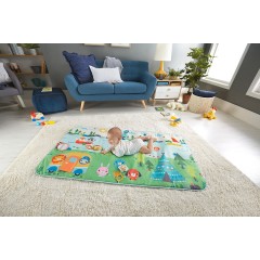 Mattel Fisher-Price Grosse Campingabenteuer Spieldecke Большой игровой коврик для кемпинга Fisher-Price