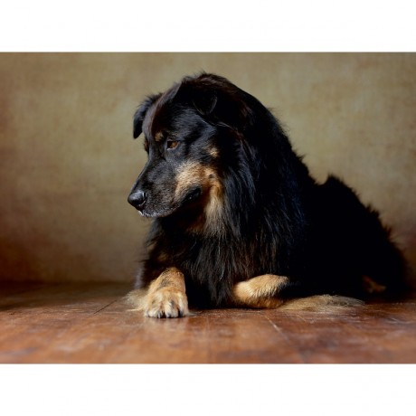 CALVENDO Puzzle CALVENDO Puzzle Hobbit Пазл CALVENDO Пазл Хоббит