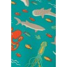 frugi Regenanzug RAIN OR SHINE fur Jungen (recycelt) Дождевик RAIN OR SHINE для мальчиков (переработанный)