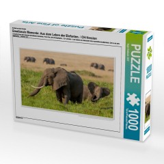 CALVENDO Puzzle CALVENDO Puzzle Emotionale Momente: Aus dem Leben der Elefanten. \/ CH-Version Пазл CALVENDO Пазл Эмоциональные моменты: из жизни слонов. \/ версия CH