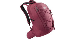 Gregory Gregory Kiro 22, Rucksack violett, 22 Liter  violett Григорий Киро 22, рюкзак фиолетовый, 22 литра