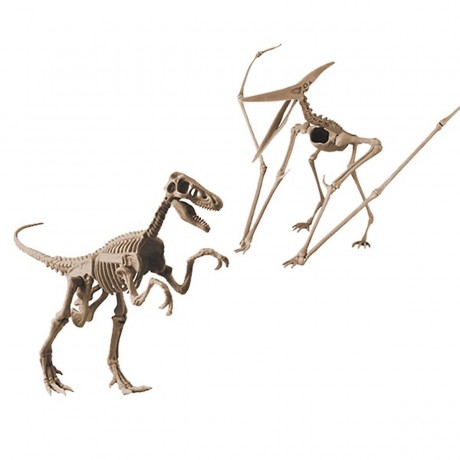 Edu-Toys Grosses 2in1 Dinosaurier Ausgrabungsset mit Werkzeug Velociraptor und Prerodactylus in schwerem Sandblock Большой набор для раскопок динозавров 2 в 1 с инструментами Velociraptor и Prerodactylus в тяжелом песчаном блоке