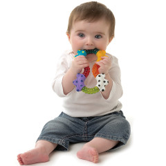 Playgro Click und Twist Rassel Щелкай и крути погремушку
