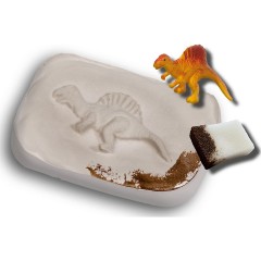 SES Creative Dino-Fossilien Окаменелости динозавров