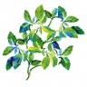 Yves Rocher Pure Menthe Klarendes Mizellenwasser  Pure Menthe Осветляющая мицеллярная вода