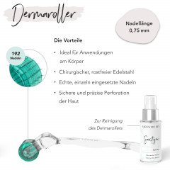 FACES OF FEY Microneedlingset Basic Hyaluron 0,75mm  Набор для микронидлинга Basic Hyaluron 0,75 мм