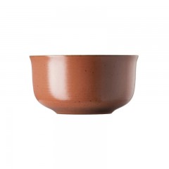 Thomas Thomas Nature Coral Muslischale d: 13 cm / 0,55 L Миска для хлопьев Thomas Nature Coral д: 13 см / 0,55 л