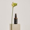 ala natural beauty Light Cream  легкий крем