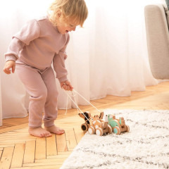 IGGY IGGY Nachziehhund Игги тянет собаку