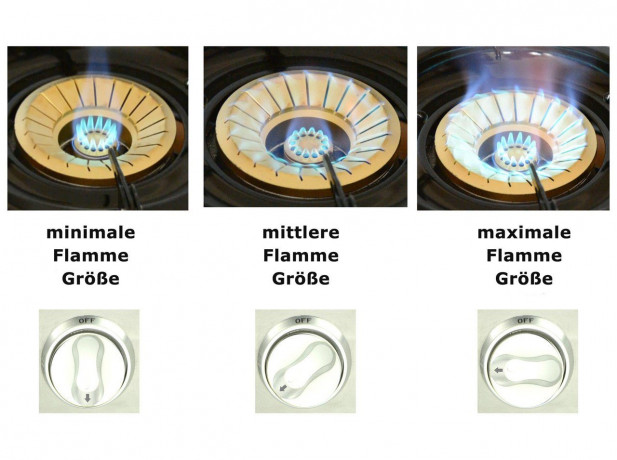 NJ The right choice NJ The right choice Gaskocher GC-87C, (Gasgrill Campingkocher, Edelstahl Gaskocher mit Deckel), LPG Gaskocher 3 flammig / Kochfelder mit Grill mit Deckel  Газовая плита NJ Правильный выбор GC-87C, (походная газовая плита-гриль, газовая