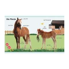 Dorling Kindersley Verlag Erstes Lernen mini: Bauernhof Первое обучающее мини: ферма