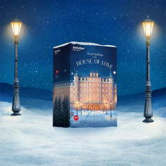 EIS Premium Adventskalendar 2025 Эротический адвент-календарь, 24 предмета, набор для взрослых 18+, подарок для пар, секс-игры и интимные аксессуары