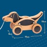 IGGY IGGY Nachziehhund Игги тянет собаку