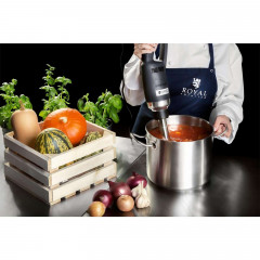 Royal Catering Royal Catering Stabmixer Stabmixer 500 W 300mm stufenlos einstellbar 4.000-16.000 U/min, 500 W  Ручной блендер Royal Catering Ручной блендер 500 Вт 300 мм плавная регулировка 4000-16000 об/мин, 500 Вт