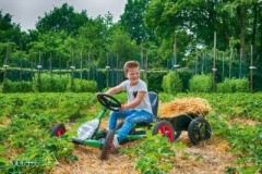 BERG Go-Kart Buddy Fendt Grun Go Kart Buddy Fendt Green