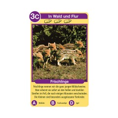 Ravensburger Tier-Quartette: Tierkinder Квартет животных: Дети животных