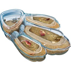 Clementoni Galileo Галилео