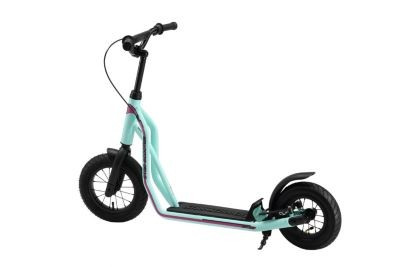 Star Scooter Roller 10\/12 Zoll Mixed Ролик 10/12 дюймов смешанный