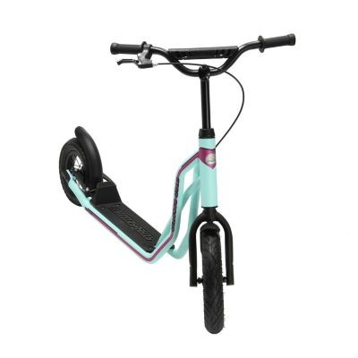 Star Scooter Roller 10\/12 Zoll Mixed Ролик 10/12 дюймов смешанный