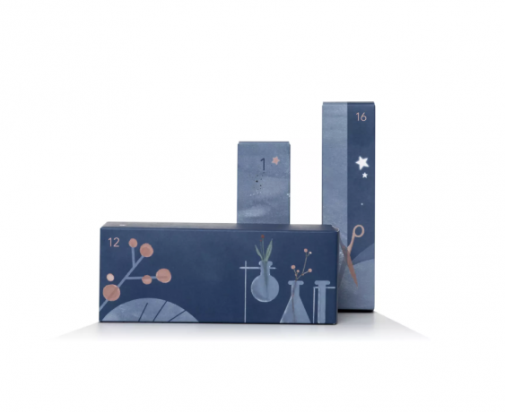 Charlotte Meentzen Adventskalender Адвент-календарь 2024, 24 бьюти сюрприза