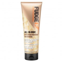 Fudge Colour Boost Shampoo  Шампунь для усиления цвета