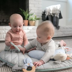 Ingenuity Cozy Spot Loamy Wendedecke mit Spielbogen aus Holz Двустороннее одеяло Cosy Spot Loamy с деревянной игровой аркой