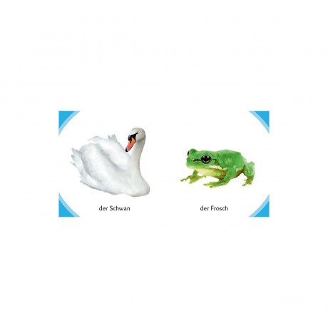 S. Fischer Verlag Duden Kennst du das? Meine kleine Tierwelt Вы это знаете? Мой маленький животный мир