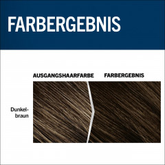 Schwarzkopf Professional Men Perfect Tonungs-Gel 70 Natural Dark Brown Краска против седых волос-Гель Natur Темно-коричневый 70