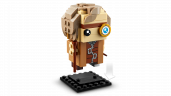 Lego Die Professoren von Hogwarts Профессора Хогвартса